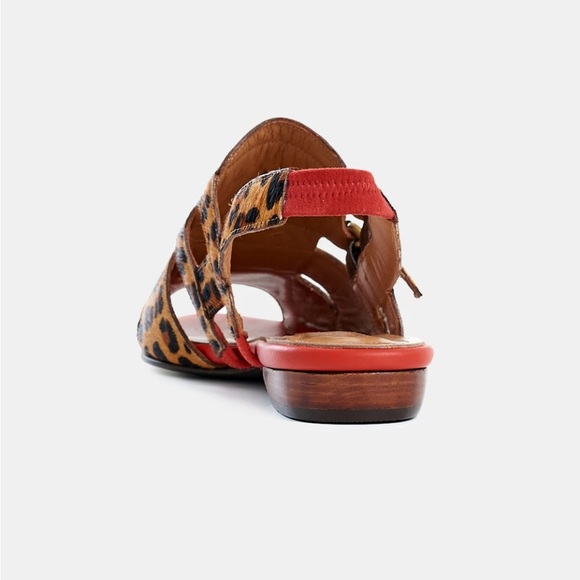 Botti of Portugal- Elis Leopard Flat Sandal - Sz. 40 - New - Picture 4 of 14